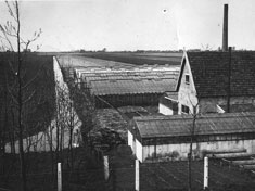 Oude Wetering, The Netherlands ca 1940