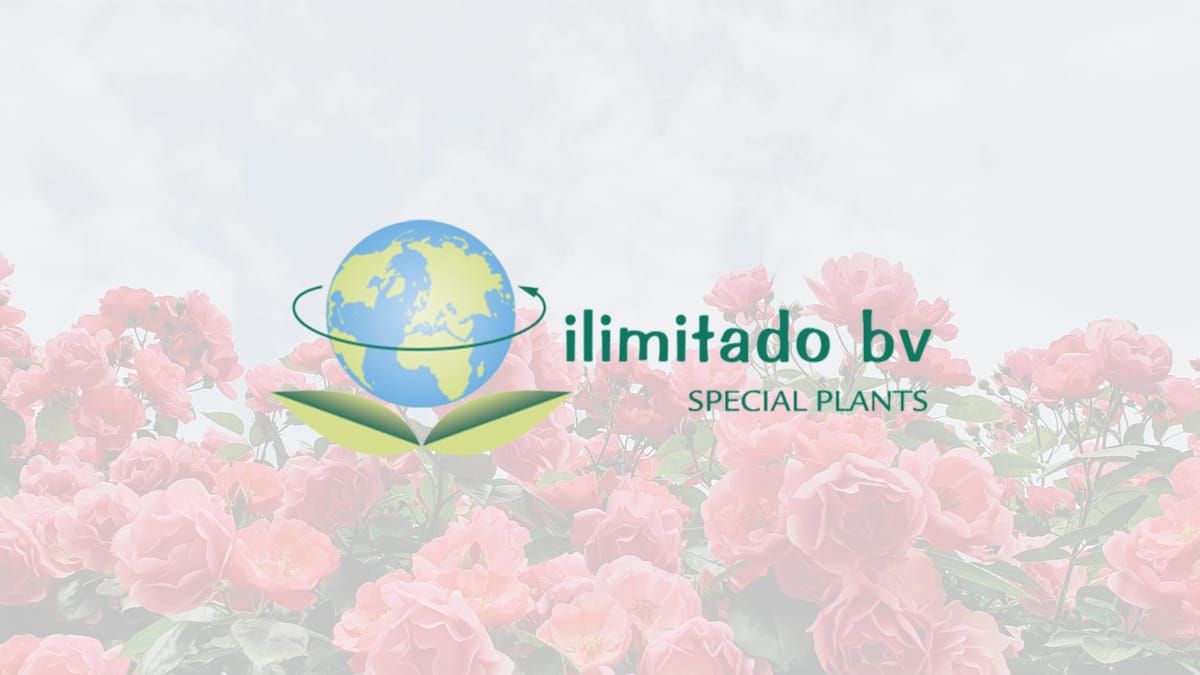 Exclusive Agent - ilimitado bv